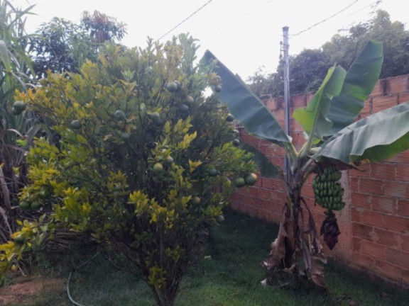 Imagem Casa com 2 Quartos à Venda, 360 m² em Flórida - Esmeraldas
