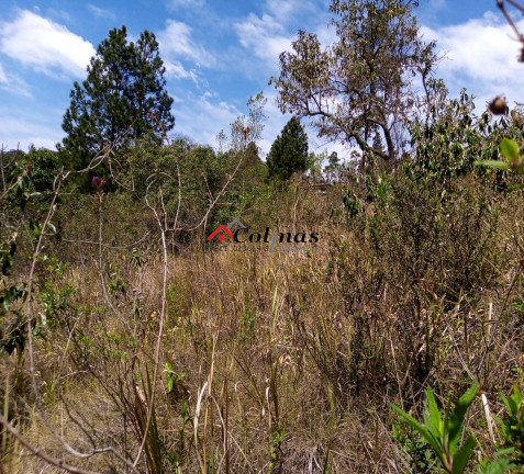 Imagem Terreno à Venda, 1.300 m² em Depois Do Centro - Ibiúna