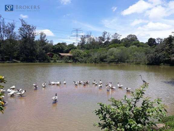 Imagem Casa com 4 Quartos à Venda, 800 m² em Condomínio Clube De Campo Valinhos - Valinhos