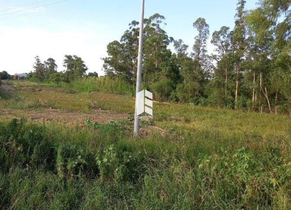 Imagem Terreno à Venda, 19.407 m² em Patronato - Santa Maria Imagem Terreno à Venda, 19.407 m² em Patronato - Santa Maria