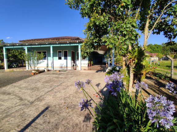 Imagem Casa com 3 Quartos à Venda, 293 m² em Trigolândia - Piên
