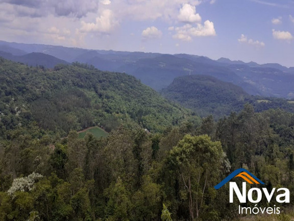 Imagem Imóvel à Venda,  em Linha Olinda - Nova Petrópolis