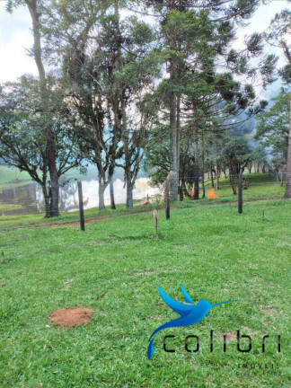 Imagem Chácara com 2 Quartos à Venda, 38.800 m² em Tarumã - Agudos Do Sul