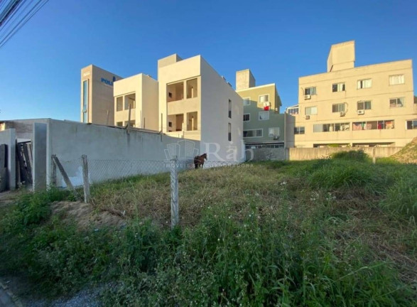 Terreno à Venda, 300 m² em Santa Regina - Camboriú