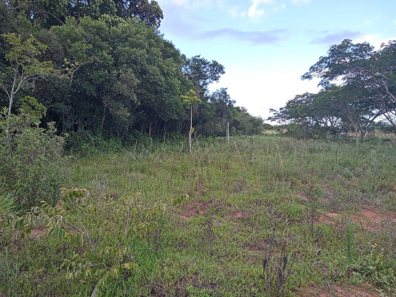 Imagem Chácara à Venda, 20.000 m² em águas Claras - Viamão Imagem Chácara à Venda, 20.000 m² em águas Claras - Viamão