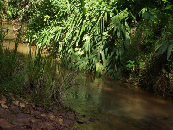 Imagem Imóvel à Venda, 435.600 m² em Zona Rural - Jacui Imagem Imóvel à Venda, 435.600 m² em Zona Rural - Jacui