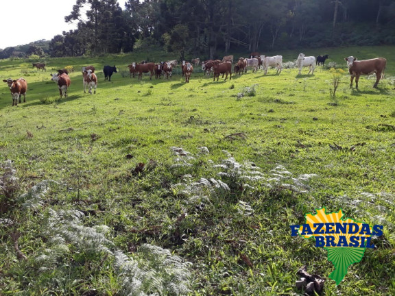 Imagem Imóvel com 1 Quarto à Venda, 100 m² em área Rural De Lages - Ponte Alta Imagem Imóvel com 1 Quarto à Venda, 100 m² em área Rural De Lages - Ponte Alta
