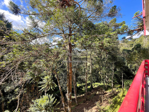 Imagem Apartamento com 3 Quartos à Venda, 103 m² em Vila Floresta - Campos Do Jordão Imagem Apartamento com 3 Quartos à Venda, 103 m² em Vila Floresta - Campos Do Jordão