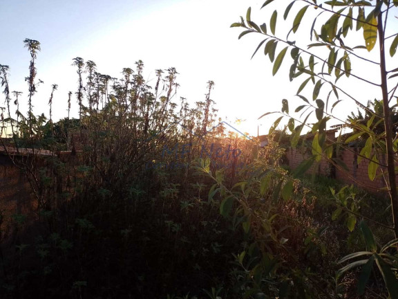 Imagem Terreno à Venda, 279 m² em Jardim Treviso - Pirassununga