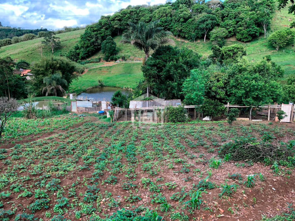 Imagem Imóvel com 2 Quartos à Venda, 1 m² em Correias (rural) - Bandeira Do Sul
