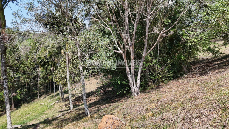 Imagem Terreno à Venda, 1.215 m² em Região De Santo Antônio Do Pinhal - Santo Antônio Do Pinhal Imagem Terreno à Venda, 1.215 m² em Região De Santo Antônio Do Pinhal - Santo Antônio Do Pinhal