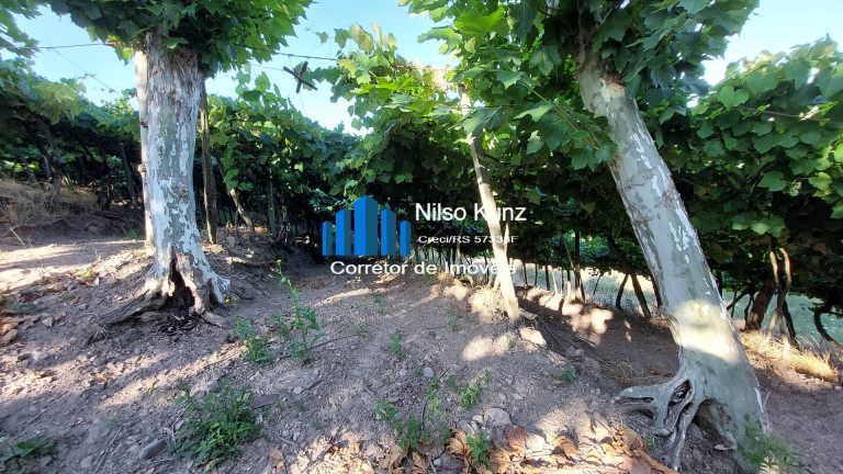 Imagem Chácara à Venda, 12.000 m² em Capela São Jorge - Garibaldi