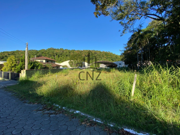 Terreno à Venda, 478 m² em São Pedro - Brusque