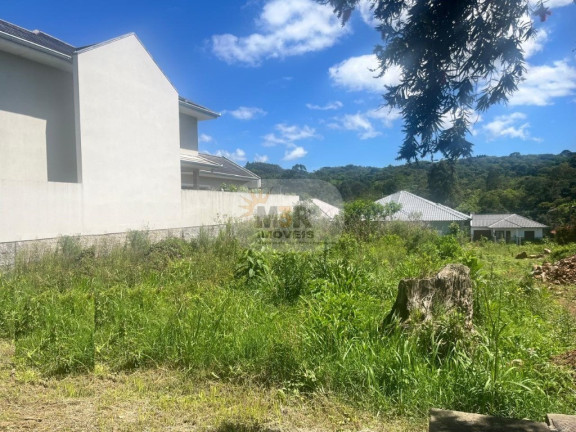 Terreno à Venda, 390 m² em Plátano - Nova Petrópolis