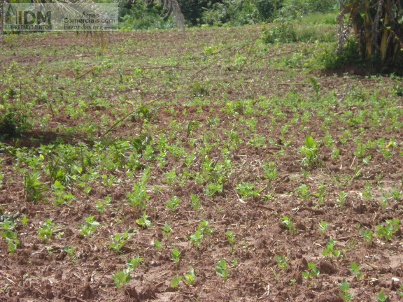 Imagem Chácara à Venda, 6.660.000 m² em Centro - Cristalândia Imagem Chácara à Venda, 6.660.000 m² em Centro - Cristalândia