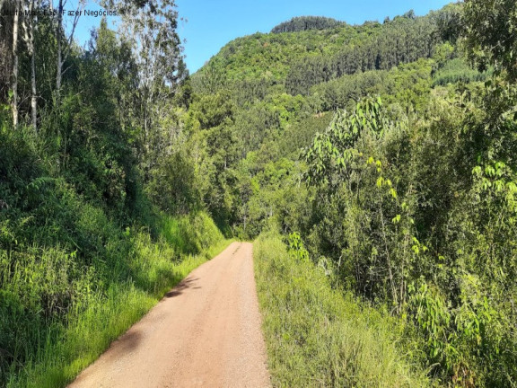 Imagem Terreno à Venda, 3 m² em São Jacó - Nova Petrópolis Imagem Terreno à Venda, 3 m² em São Jacó - Nova Petrópolis