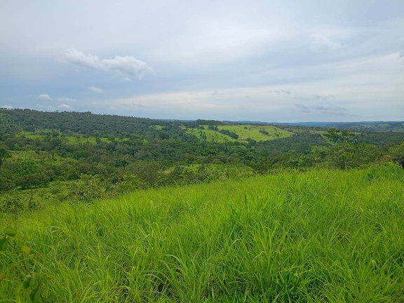 Imagem Fazenda à Venda, 63 m² em Zona Rural - Abadiânia Imagem Fazenda à Venda, 63 m² em Zona Rural - Abadiânia