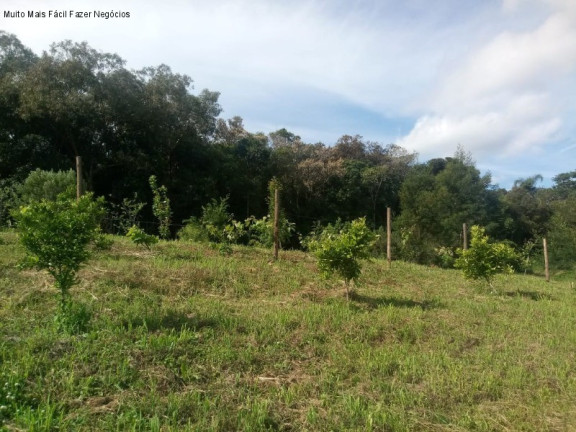 Imagem Terreno à Venda, 4 m² em Pinhal Alto - Nova Petrópolis