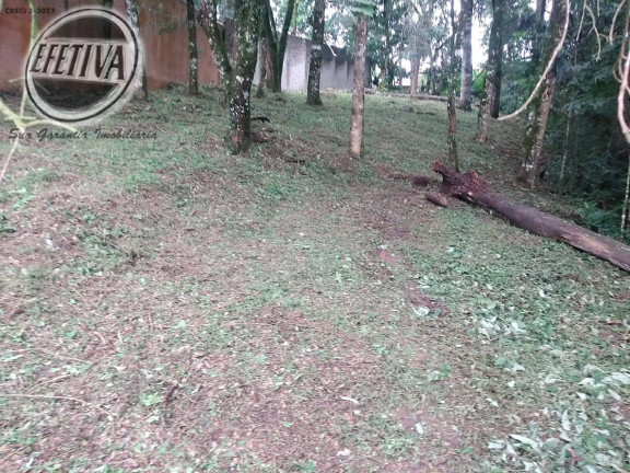 Terreno à Venda, 495 m² em Santa Felicidade - Curitiba