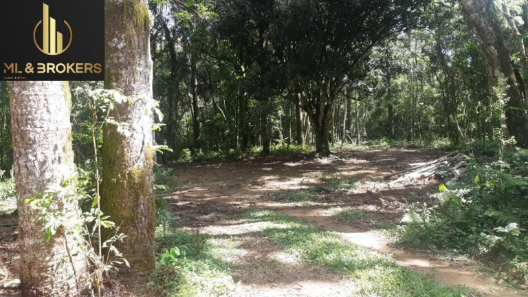 Imagem Imóvel à Venda, 20.000 m² em Quitandinha - Quitandinha Imagem Imóvel à Venda, 20.000 m² em Quitandinha - Quitandinha
