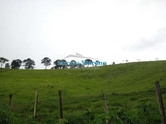 Imagem Imóvel com 1 Quarto à Venda, 11 m² em Zona Rural - Borda Da Mata