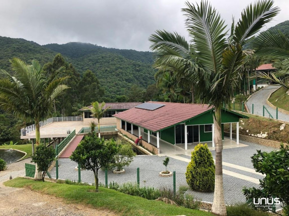 Imagem Fazenda à Venda, 30.000 m² em Rio Novo - Aguas Mornas Imagem Fazenda à Venda, 30.000 m² em Rio Novo - Aguas Mornas