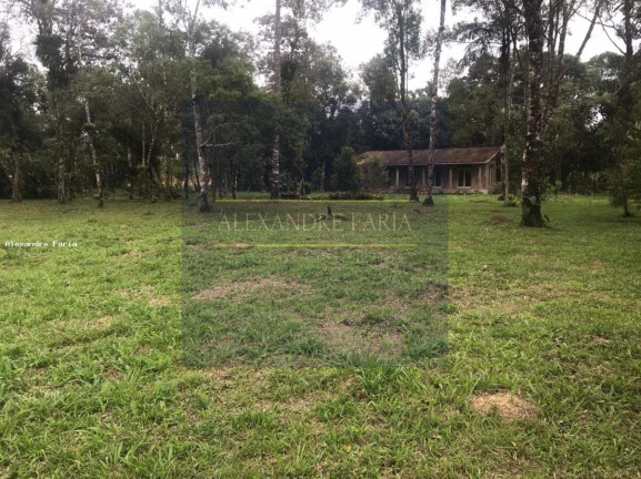 Imagem Chácara com 2 Quartos à Venda, 80 m² em Rio Negro - Natividade Da Serra