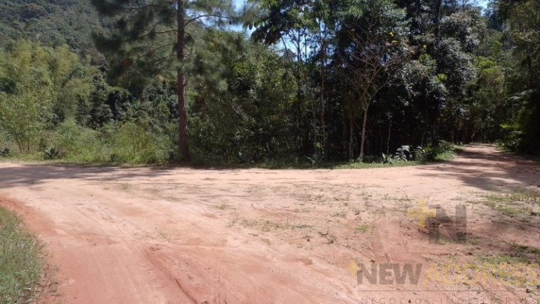 Imagem Imóvel com 1 Quarto à Venda, 20.000 m² em Marechal Floriano - Marechal Floriano