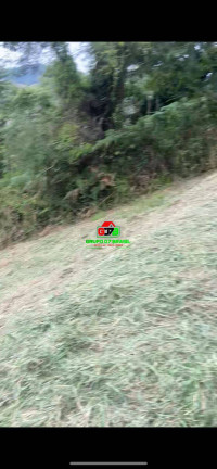 Imagem Chácara à Venda, 5.200 m² em São Francisco Xavier - São José Dos Campos