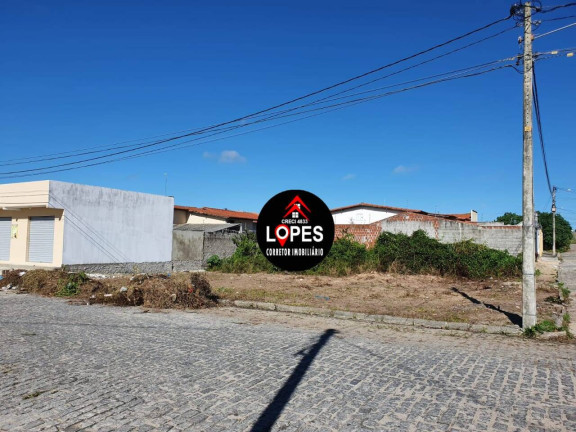 Imagem Terreno à Venda, 264 m² em Flores Do Campo - São Gonçalo Do Amarante