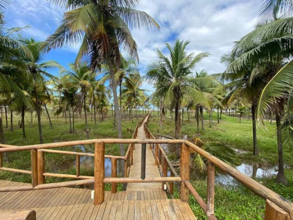 Imagem Terreno à Venda, 614 m² em Rodovia Se-100 - Barra Dos Coqueiros Imagem Terreno à Venda, 614 m² em Rodovia Se-100 - Barra Dos Coqueiros