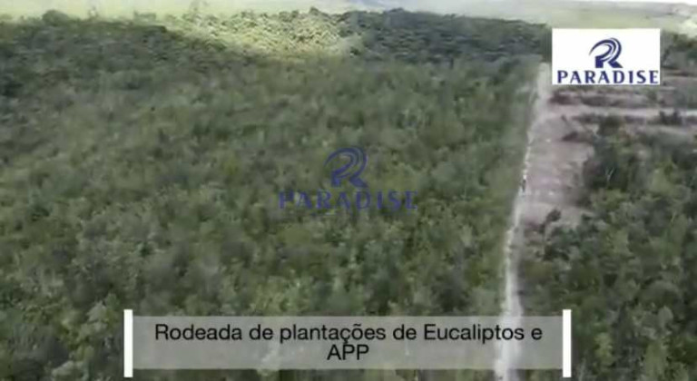 Fazenda à Venda, 305.000 m² em Zona Rural - Entre Rios