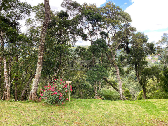 Imagem Terreno em Condomínio à Venda, 1 m² em Alto Do Vale Encantado - Campos Do Jordão Imagem Terreno em Condomínio à Venda, 1 m² em Alto Do Vale Encantado - Campos Do Jordão