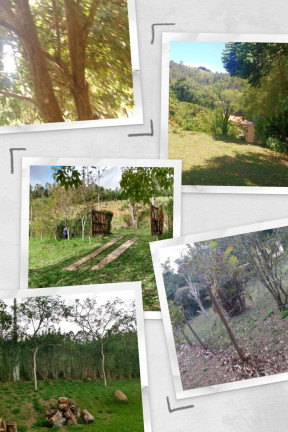 Imagem Chácara com 3 Quartos à Venda, 200 m² em Varjao - Paraibuna Imagem Chácara com 3 Quartos à Venda, 200 m² em Varjao - Paraibuna