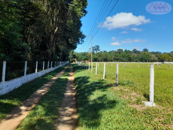 Imagem Imóvel com 5 Quartos à Venda, 128 m² em Ipelândia - Suzano
