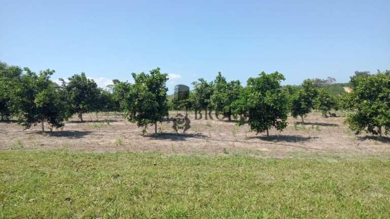 Imagem Fazenda à Venda, 555.000 m² em Sao Vicente - Araruama Imagem Fazenda à Venda, 555.000 m² em Sao Vicente - Araruama