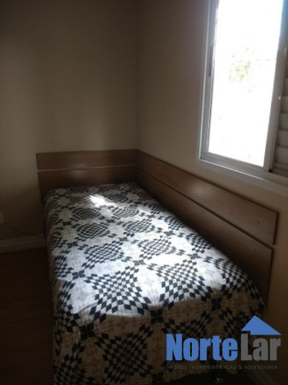 Imagem Apartamento com 3 Quartos à Venda, 65 m² em Vila Maria - São Paulo