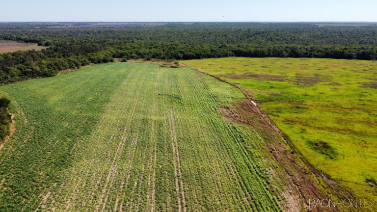 Imagem Fazenda à Venda, 6.290.000 m² em Zona Rural - Lagoa Da Confusão Imagem Fazenda à Venda, 6.290.000 m² em Zona Rural - Lagoa Da Confusão