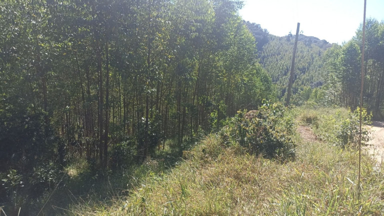 Imagem Chácara com 1 Quarto à Venda, 200 m² em Mirandão - Paraibuna Imagem Chácara com 1 Quarto à Venda, 200 m² em Mirandão - Paraibuna