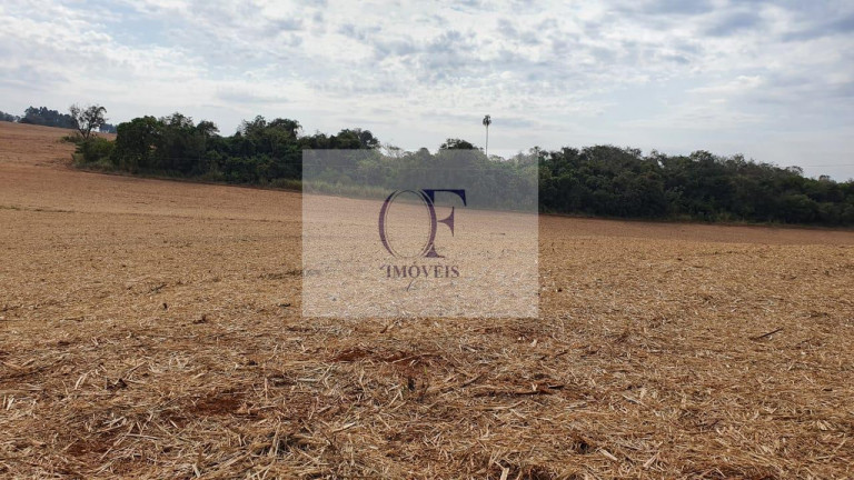Imagem Chácara à Venda, 15 m² em Rural - águas De Santa Bárbara Imagem Chácara à Venda, 15 m² em Rural - águas De Santa Bárbara
