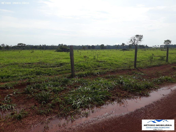 Imagem Fazenda à Venda, 1.050 m² em Rural - Juína Imagem Fazenda à Venda, 1.050 m² em Rural - Juína