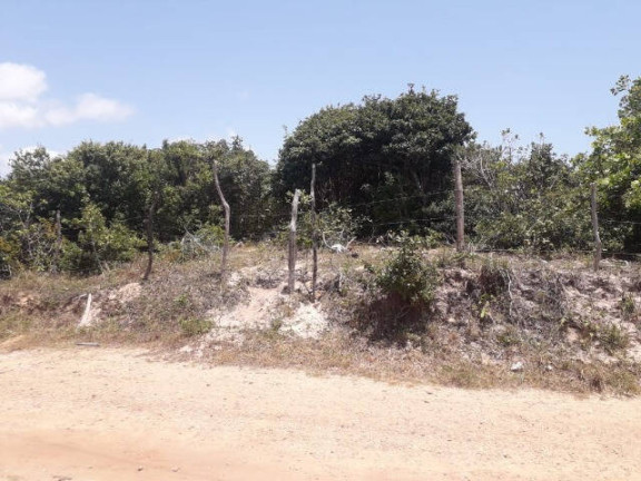 Imagem Terreno à Venda, 7.400 m² em Tibau Do Sul