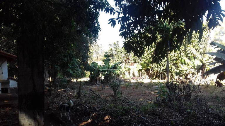 Imagem Chácara com 3 Quartos à Venda, 4.000 m² em Santa Terezinha - Paulínia Imagem Chácara com 3 Quartos à Venda, 4.000 m² em Santa Terezinha - Paulínia
