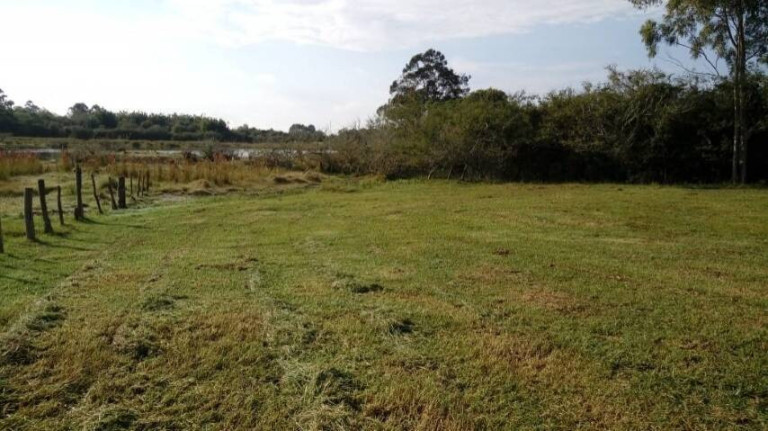 Imagem Chácara à Venda, 5.536 m² em águas Claras - Viamão Imagem Chácara à Venda, 5.536 m² em águas Claras - Viamão