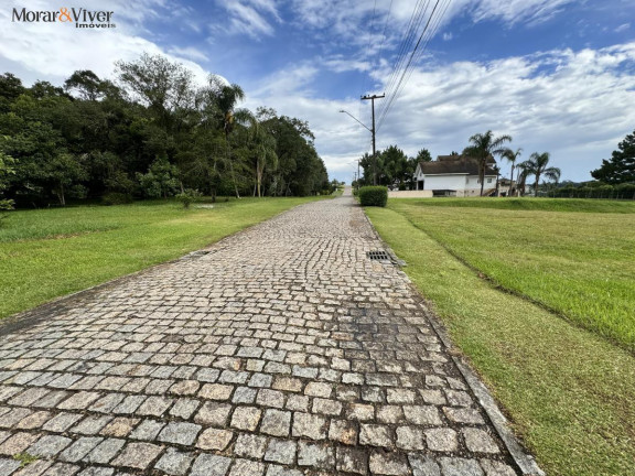 Imagem Terreno à Venda, 2.500 m² em Campo Largo Da Roseira - São José Dos Pinhais Imagem Terreno à Venda, 2.500 m² em Campo Largo Da Roseira - São José Dos Pinhais