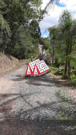 Imagem Imóvel com 3 Quartos à Venda, 310.000 m² em Vila Elvio - Piedade