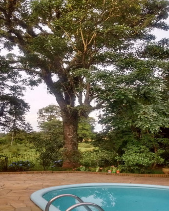 Imagem Imóvel com 3 Quartos à Venda,  em Colina Verde - Ivoti