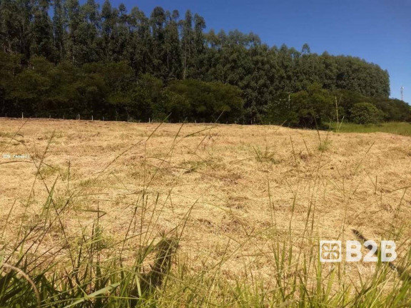 Imagem Chácara à Venda, 20.000 m² em Parque Santa Cândida - Bauru Imagem Chácara à Venda, 20.000 m² em Parque Santa Cândida - Bauru