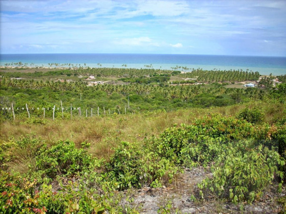 Imagem Terreno à Venda, 140 m² em São Cristóvão - Salvador Imagem Terreno à Venda, 140 m² em São Cristóvão - Salvador