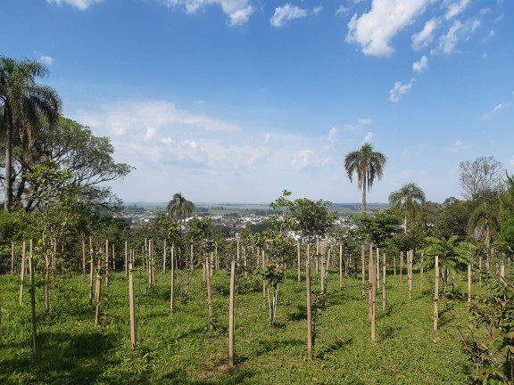 Imagem Terreno à Venda, 391 m² em Tomazetti - Santa Maria Imagem Terreno à Venda, 391 m² em Tomazetti - Santa Maria